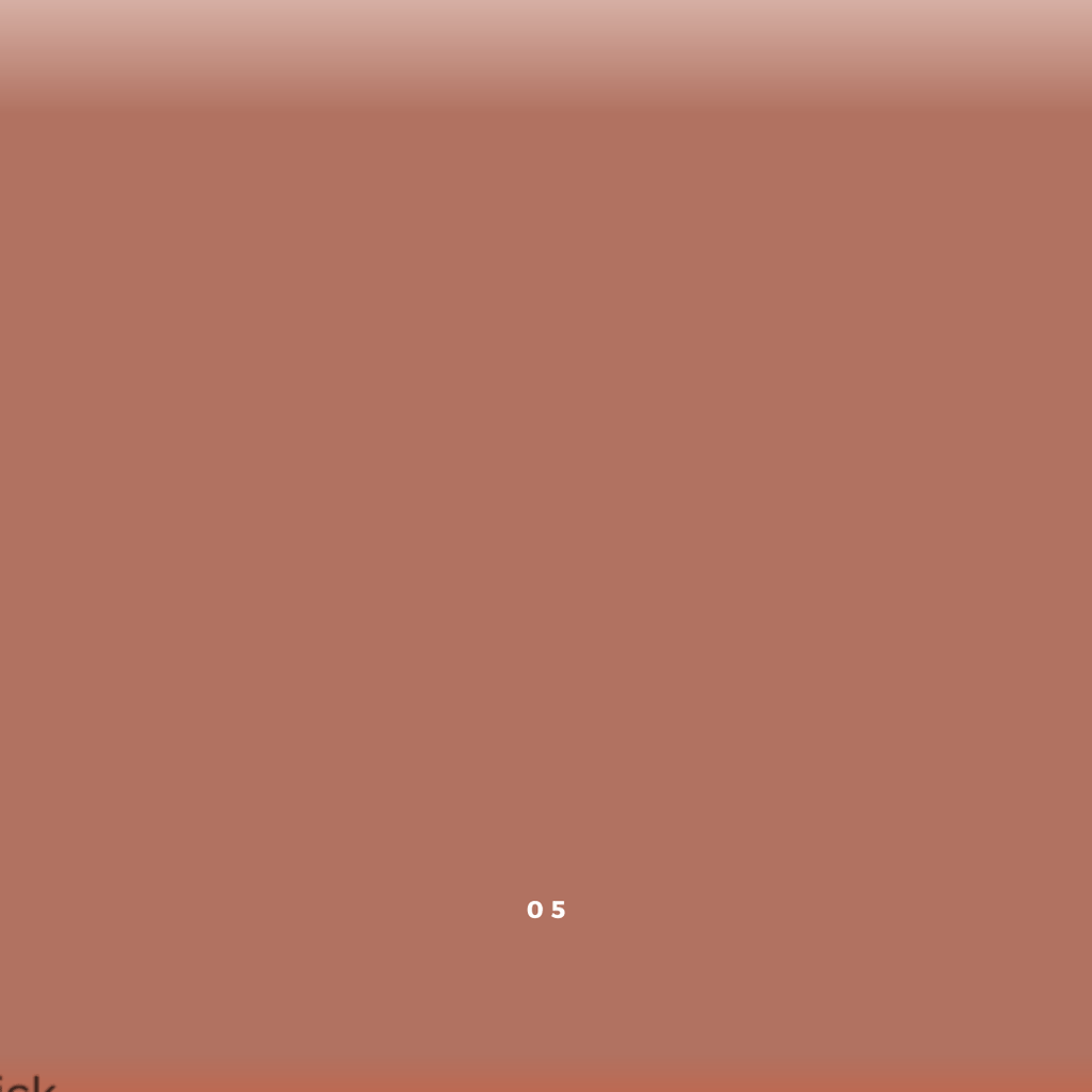 Solid brown color swatch with a number '05' in the center