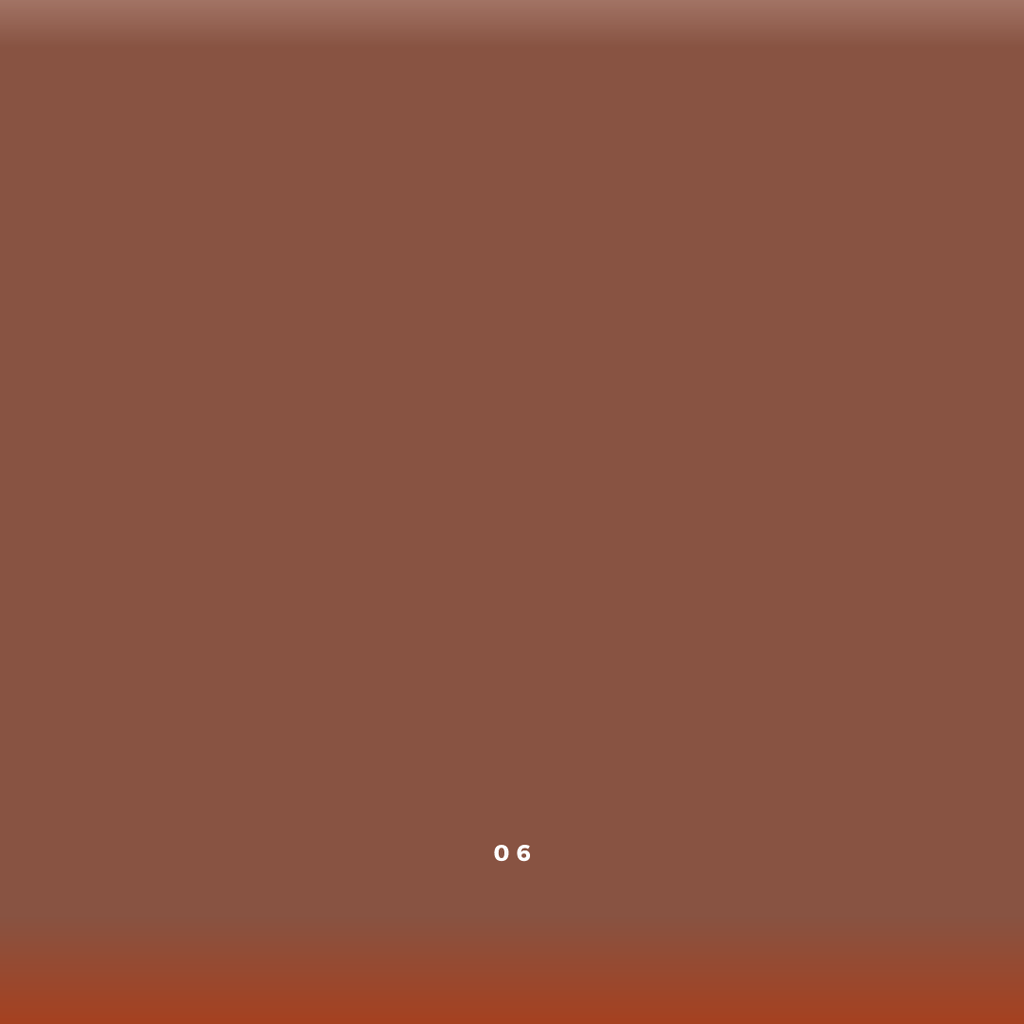 Gradient color swatch with shades of brown and orange, labeled '06'.