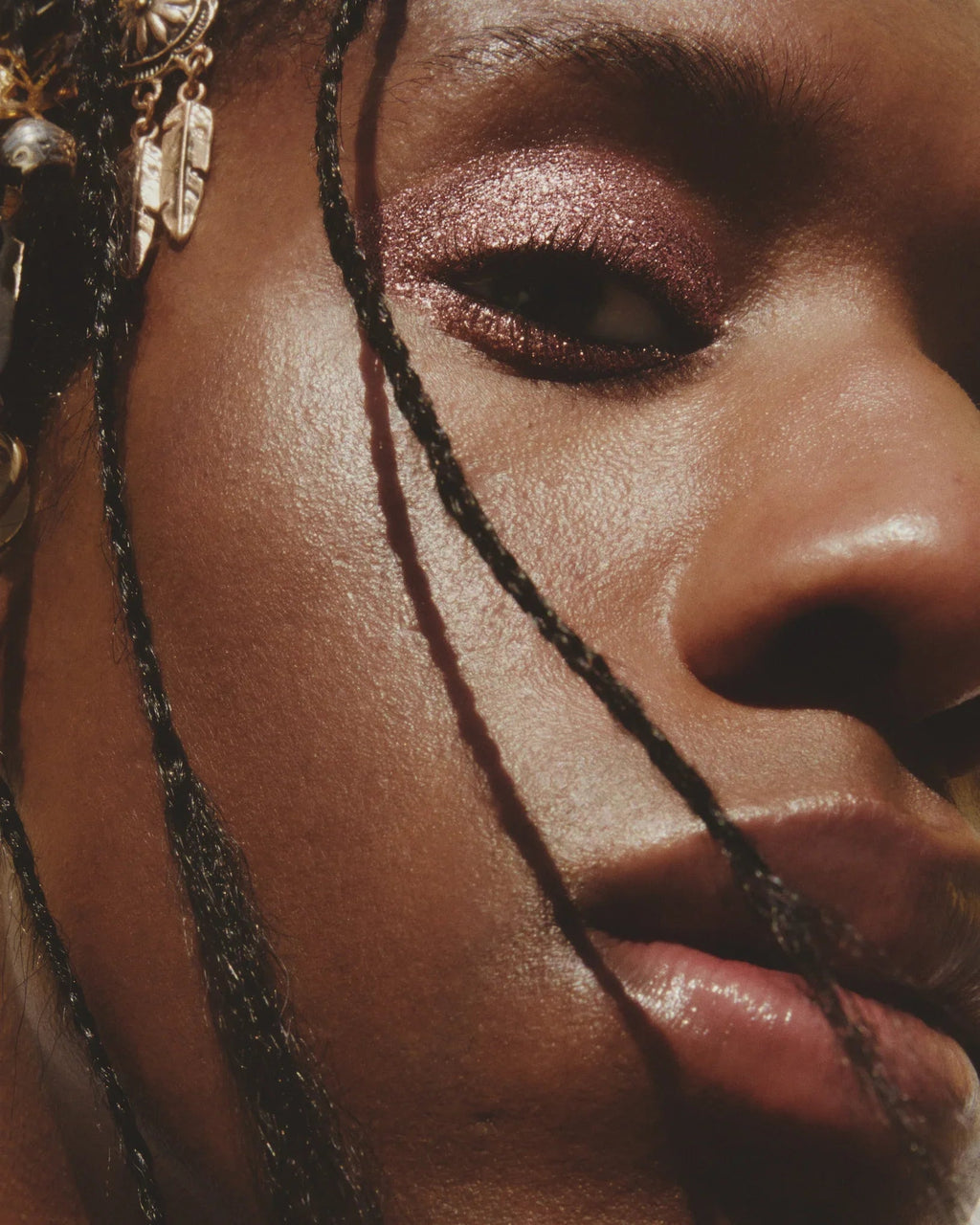 Close-up of a person's face with glittery eye makeup and braided hair.