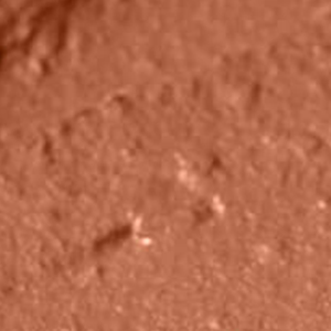 PEACE - Sandy neutral with a warm tan finish