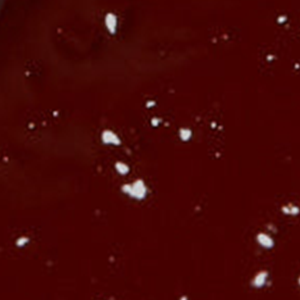 ELUSIVE - Bold burgundy with a rich brown undertone