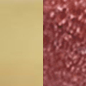 Bare Lip Balm + Guava Lip Stain