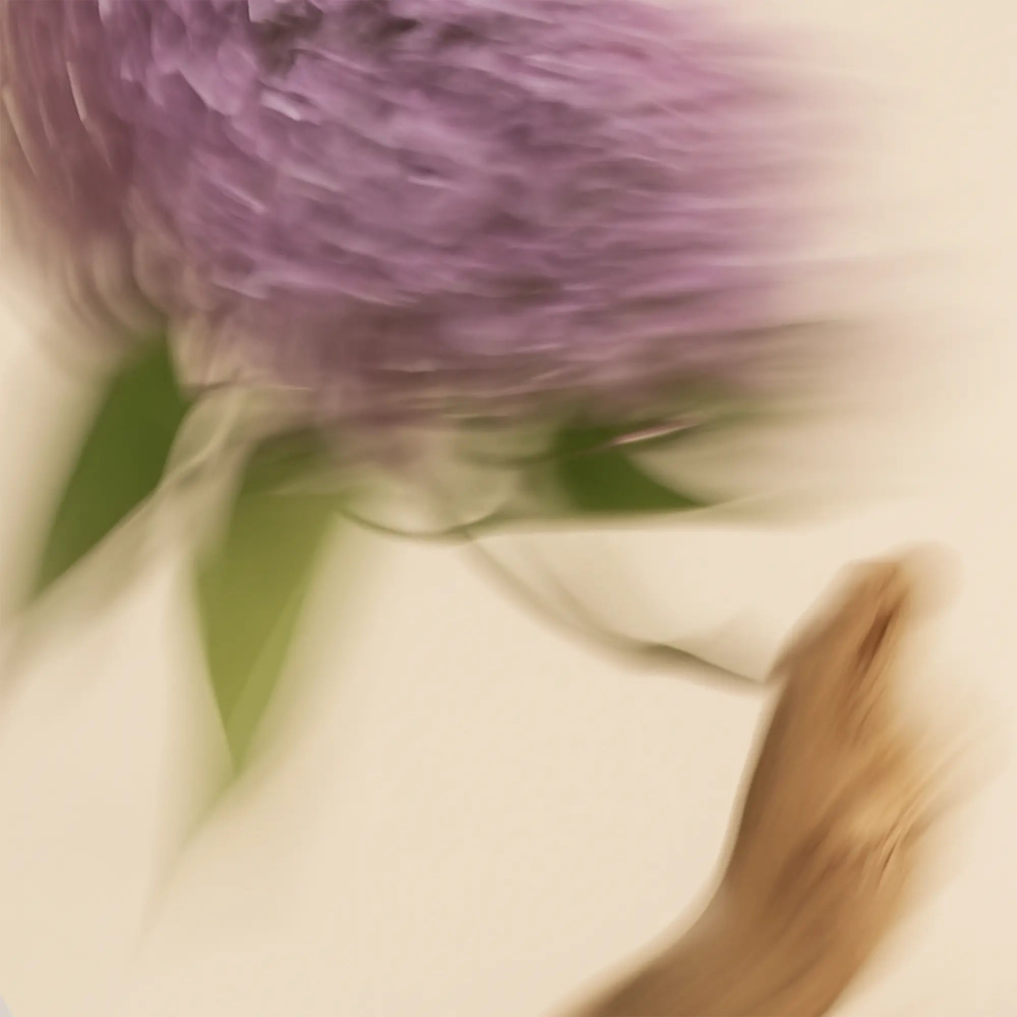 Abstract photo of lilac and driftwood