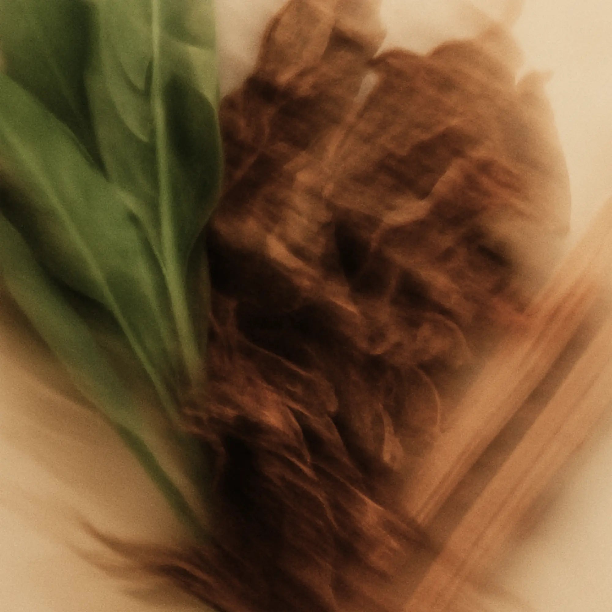 Abstract photo of sandalwood and tobacco leaves