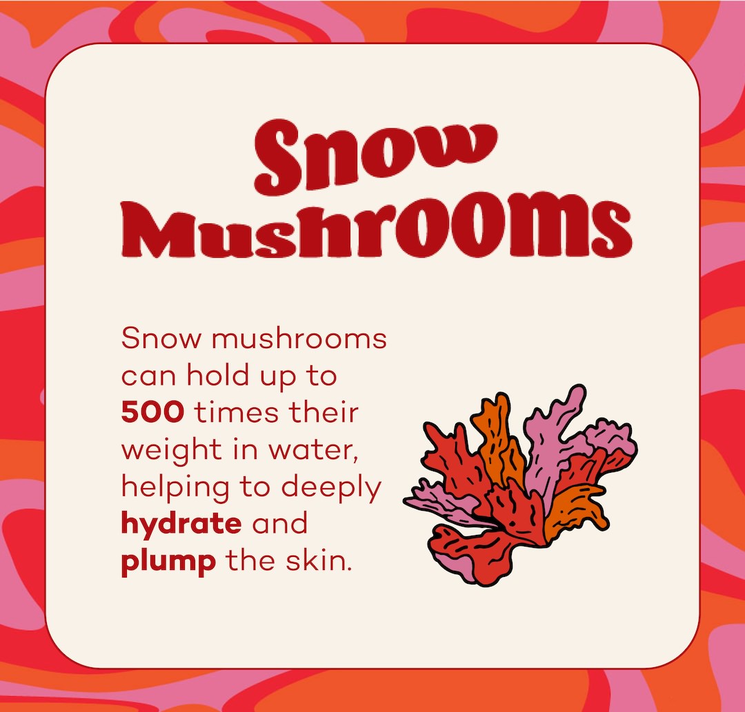 Card with text about snow mushrooms and a colorful mushroom illustration on a red and orange background.