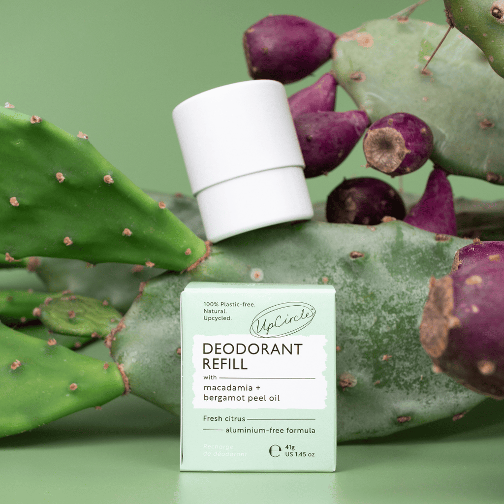 Deodorant refill container and packaging on a cactus plant with a green background
